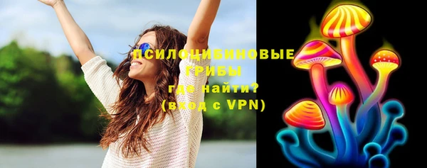 гашик Елабуга