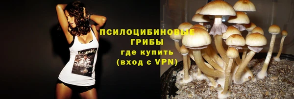 гашик Елабуга