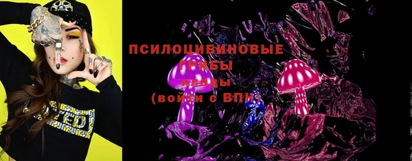 гашик Елабуга