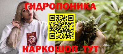 прущие крисы Краснодар