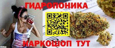 шишки Краснокаменск