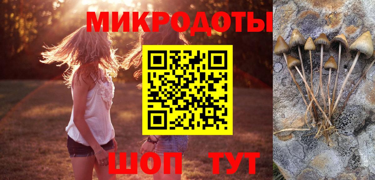 Псилоцибиновые грибы Psilocybine cubensis Ипатово